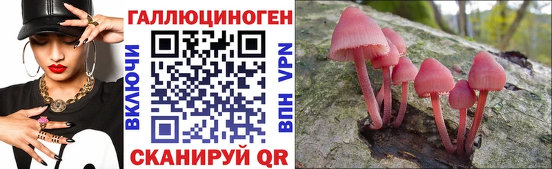 Псилоцибиновые грибы MAGIC MUSHROOMS  дарнет шоп  Полярные Зори 